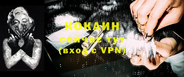 стафф Алексин