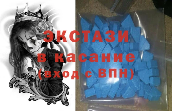 стафф Алексин