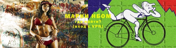 стафф Алексин