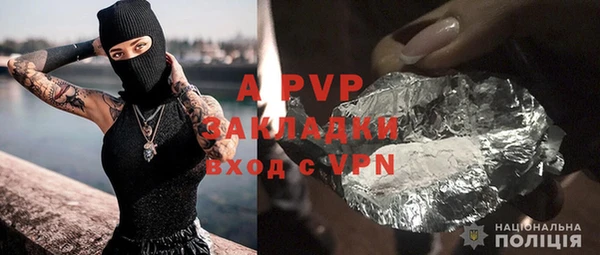 стафф Алексин
