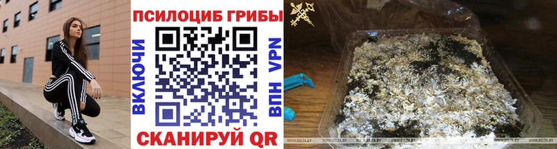 Галлюциногенные грибы Psilocybe  mega ТОР  Елизово 